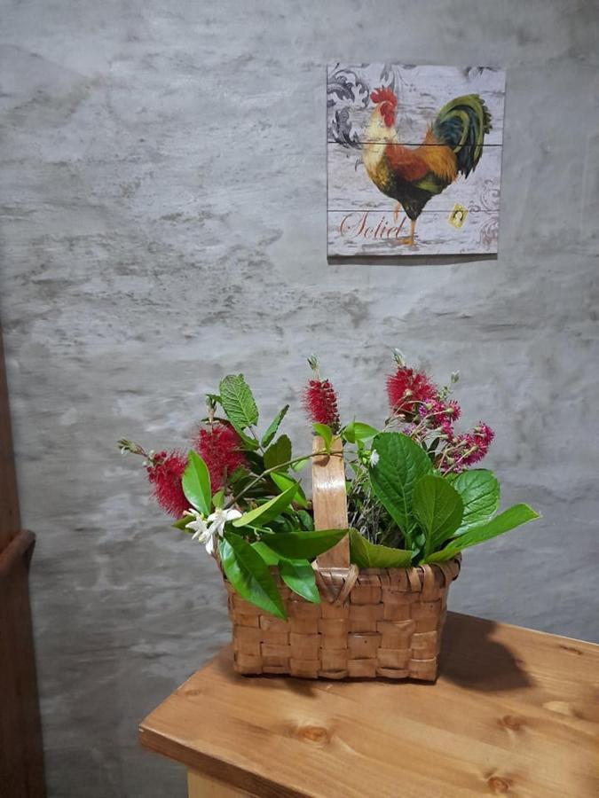 皮尼昂Casa Dona Eufemia住宿加早餐旅馆 外观 照片